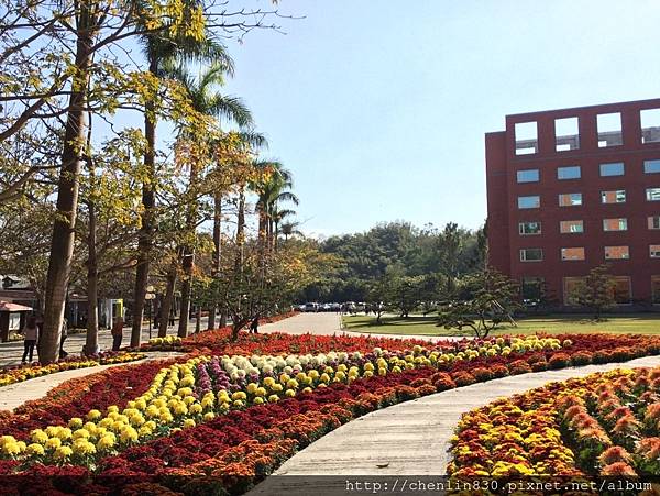 IMG_3613.JPG IMG_3613.JPG