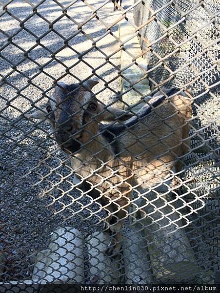 IMG_3619.JPG IMG_3619.JPG