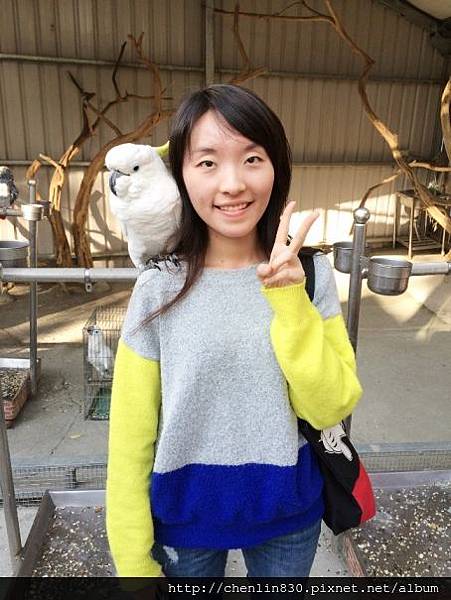 IMG_3673.JPG IMG_3673.JPG