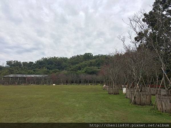 IMG_3674.JPG IMG_3674.JPG