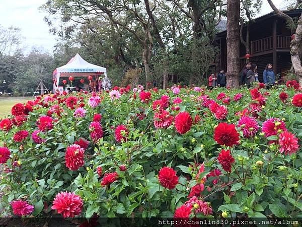 IMG_3676.JPG IMG_3676.JPG