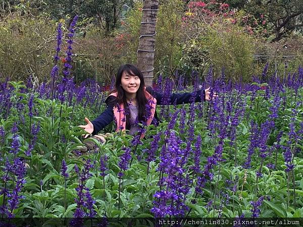 IMG_3682.JPG IMG_3682.JPG