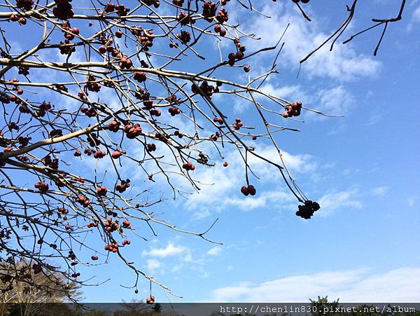 IMG_3596.JPG IMG_3596.JPG