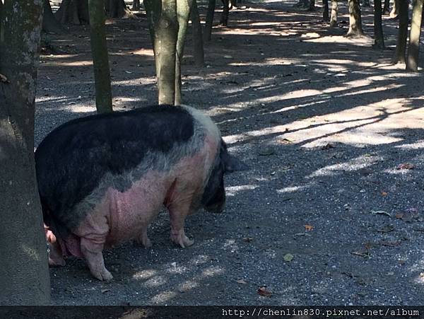 IMG_3618.JPG IMG_3618.JPG