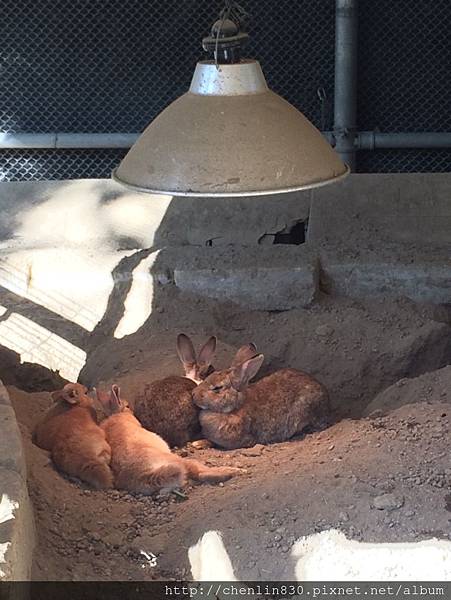 IMG_3622.JPG IMG_3622.JPG