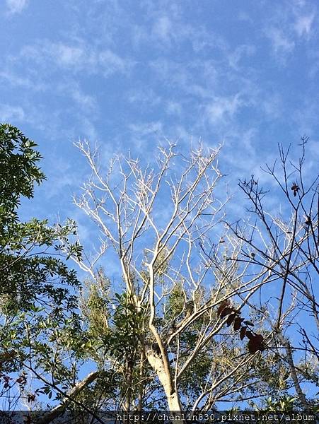 IMG_3627.JPG IMG_3627.JPG