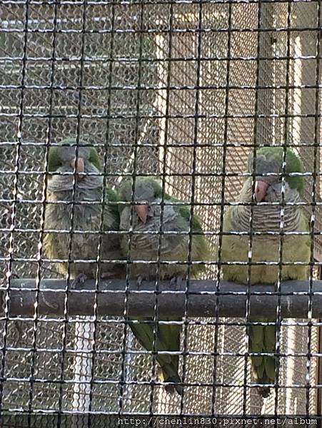 IMG_3642.JPG IMG_3642.JPG