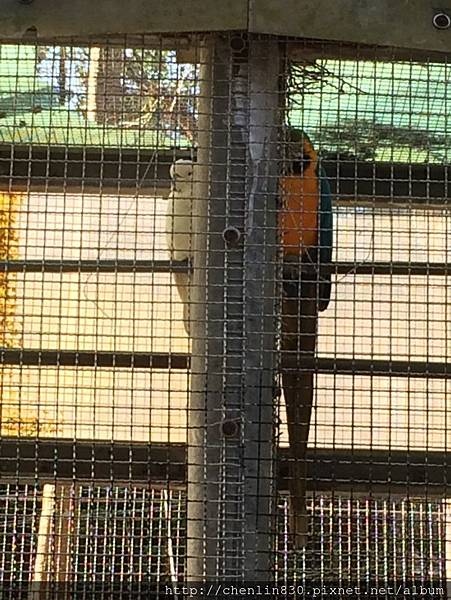 IMG_3643.JPG IMG_3643.JPG