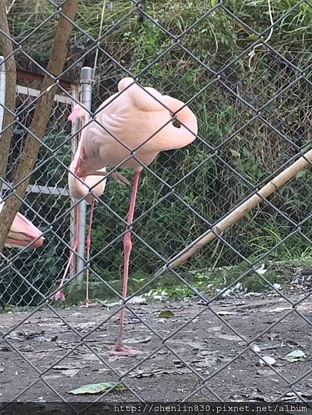 IMG_3644.JPG IMG_3644.JPG