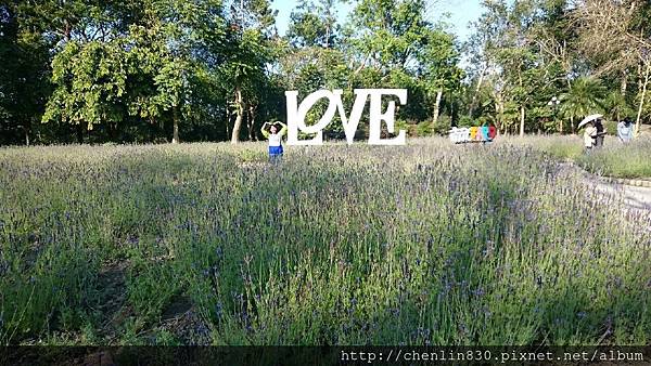 IMG_3663.JPG IMG_3663.JPG