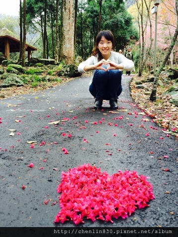 IMG_3961.JPG IMG_3961.JPG