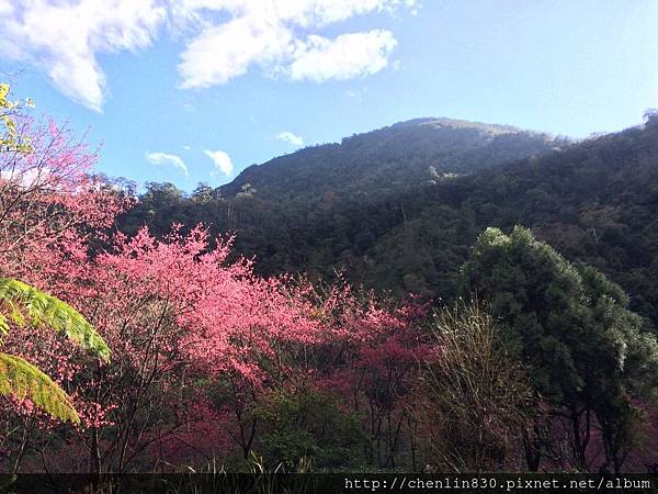 20160209-0212走春去_9213.jpg 20160209-0212走春去_9213.jpg