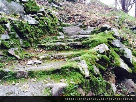 IMG_3871.JPG IMG_3871.JPG