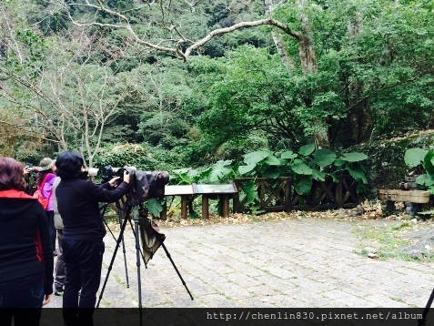 IMG_3872.JPG IMG_3872.JPG