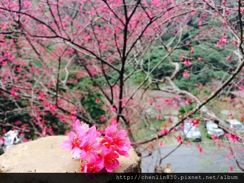 IMG_3889.JPG IMG_3889.JPG