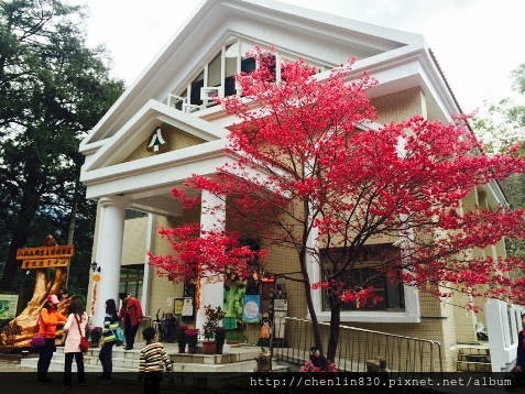 IMG_3893.JPG IMG_3893.JPG