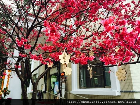 IMG_3894.JPG IMG_3894.JPG