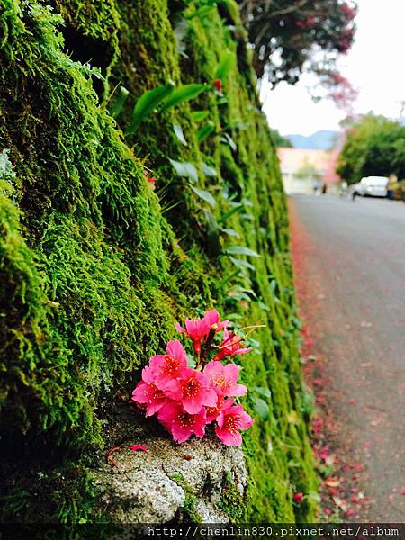 IMG_3878.JPG IMG_3878.JPG