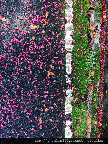 IMG_3937.JPG IMG_3937.JPG