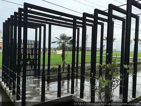 IMG_8319.JPG IMG_8319.JPG