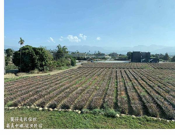 20190207_IMG_2872.JPG 20190207_IMG_2872.JPG