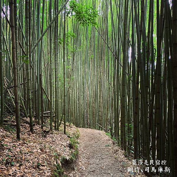 7EB77866-1145-4294-880C-9D53A0BE58CF.jpg 7EB77866-1145-4294-880C-9D53A0BE58CF.jpg