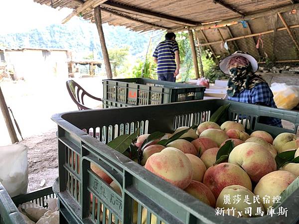 IMG_3135.JPG IMG_3135.JPG