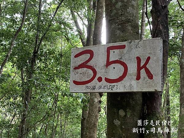 IMG_3217.JPG IMG_3217.JPG