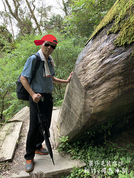 IMG_3244.png IMG_3244.png