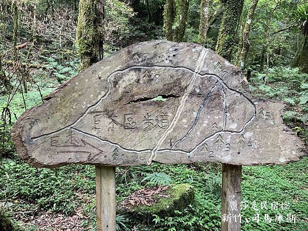 IMG_3245.JPG IMG_3245.JPG