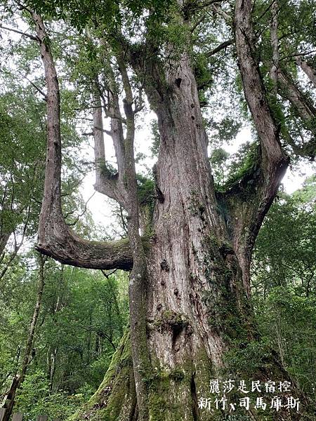 IMG_3286.JPG IMG_3286.JPG