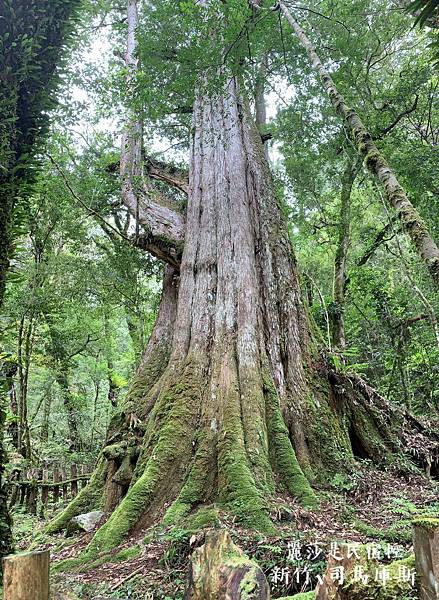 IMG_3258.jpg IMG_3258.jpg