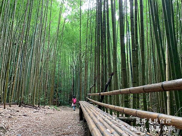 IMG_3615.JPG IMG_3615.JPG