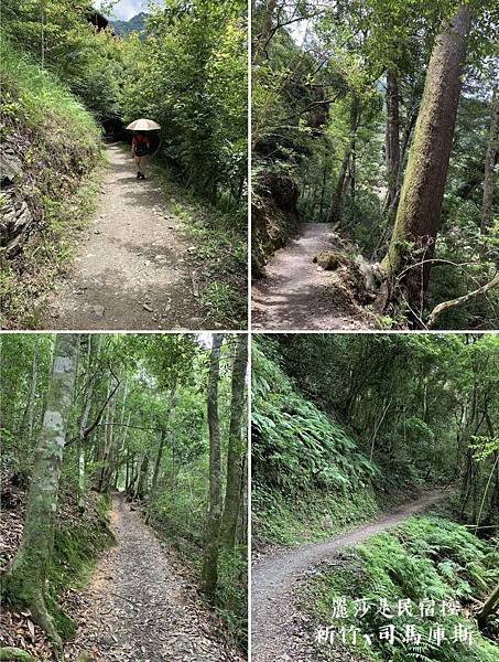 IMG_3160.jpg IMG_3160.jpg