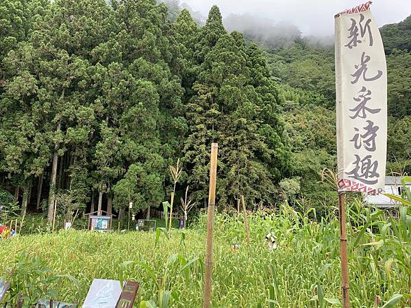 20190721_IMG_3439.JPG 20190721_IMG_3439.JPG