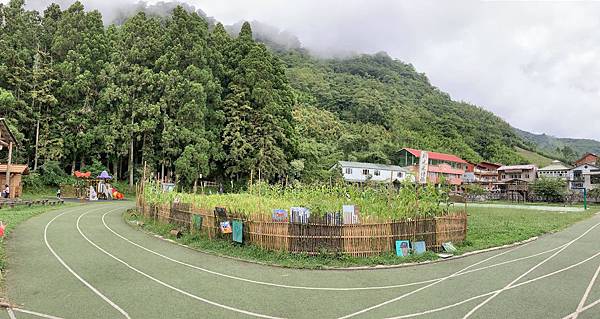 20190721_IMG_3438.JPG 20190721_IMG_3438.JPG