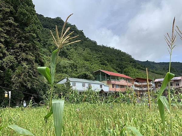 20190721_IMG_3531.JPG 20190721_IMG_3531.JPG