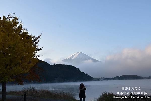 IMG_1570.JPG IMG_1570.JPG