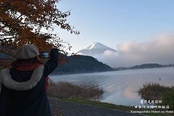 IMG_1574.JPG IMG_1574.JPG