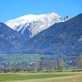 IMG_2529