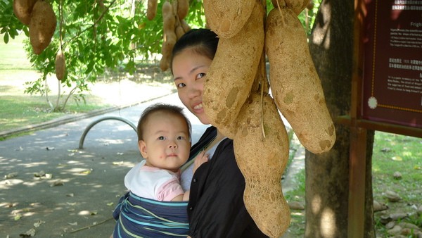 in 泰雅渡假村