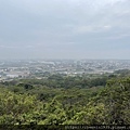 IMG_7325.JPG