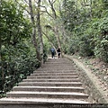 IMG_7331.JPG