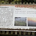 IMG_7335.JPG