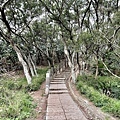 IMG_7337.JPG
