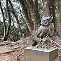 IMG_7341.JPG