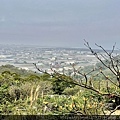 IMG_7347.JPG