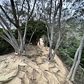 IMG_7357.JPG