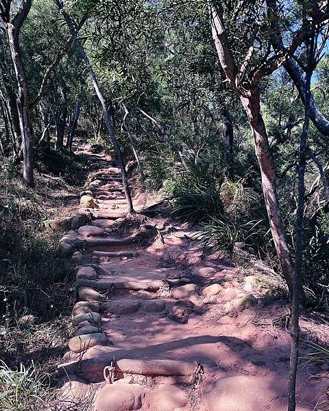 LINE_ALBUM_火炎山_230520_4.jpg LINE_ALBUM_火炎山_230520_4.jpg