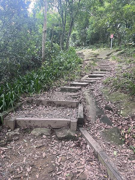 S__4194336.jpg S__4194336.jpg